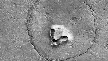 Bear's Face on Mars? NASA Spacecraft Discovers Strange Rock Formation on Surface of The Red Planet; See Pic
